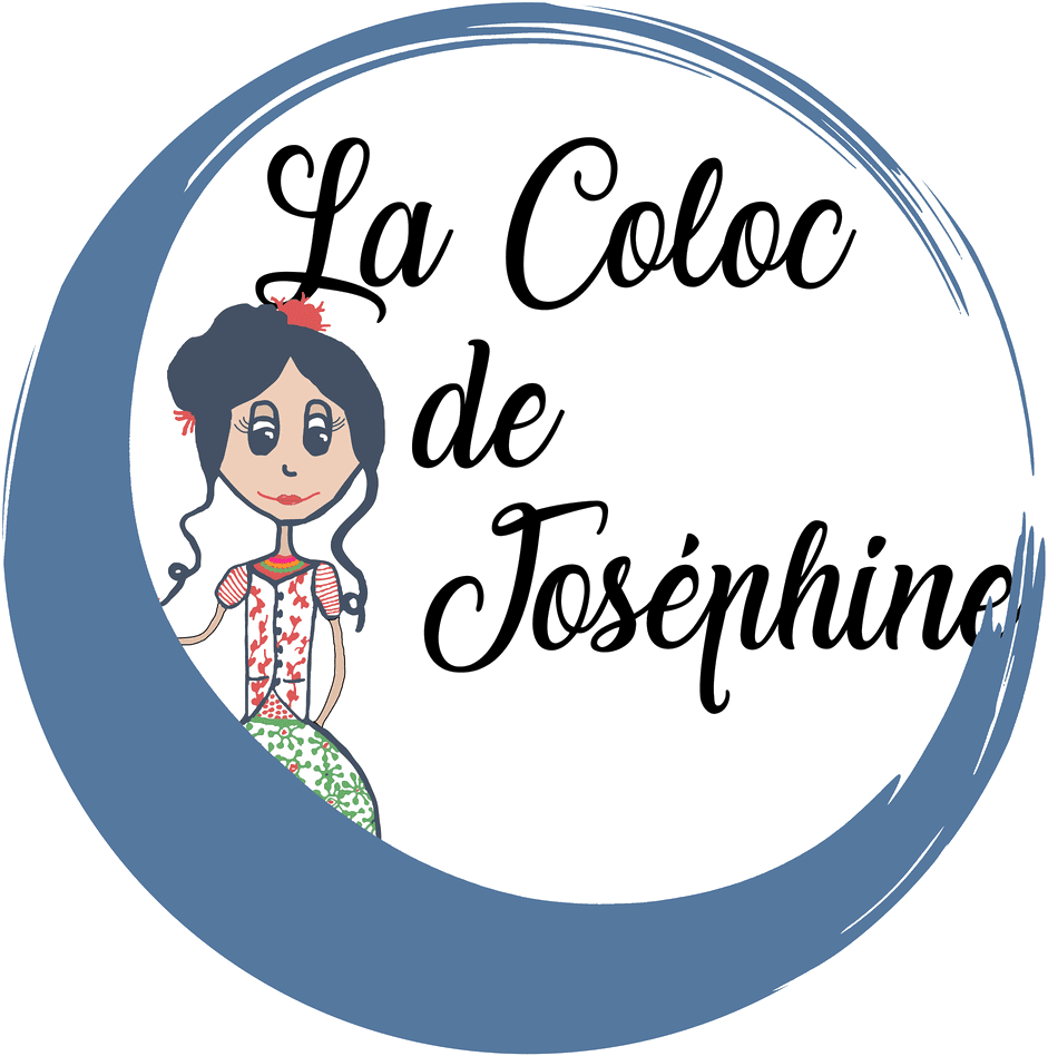La Coloc de Joséphine - habitat inclusif pour jeunes en situation de handicap